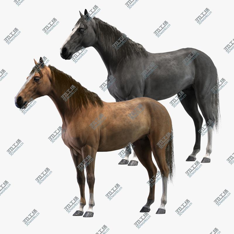images/goods_img/20210313/3D Horses (Rigged) model/1.jpg